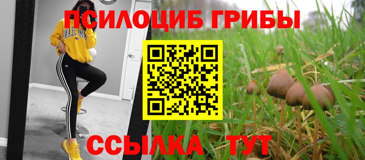 Псилоцибиновые грибы мухоморы Салехард